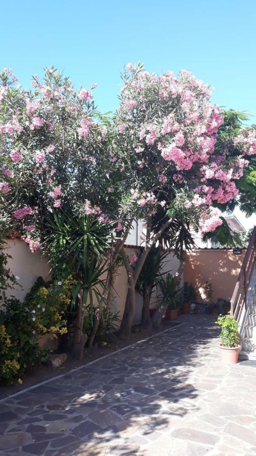 B&B Fiumicino Airport Resort المظهر الخارجي الصورة