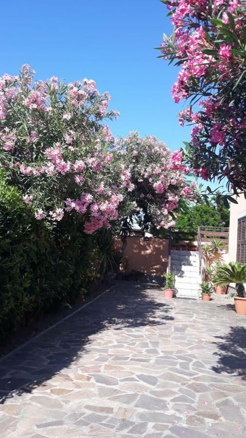 B&B Fiumicino Airport Resort المظهر الخارجي الصورة